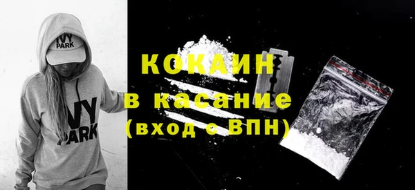 прущие грибы Аркадак
