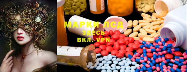 прущие грибы Аркадак