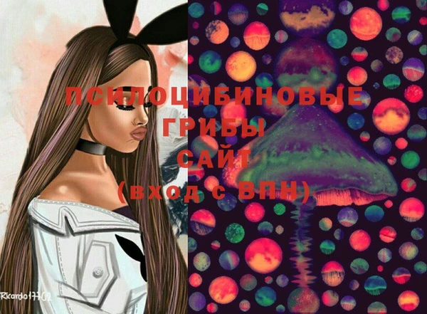 мдпв Армянск