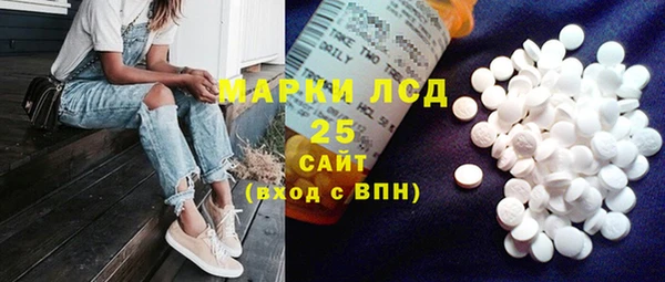 прущие грибы Аркадак