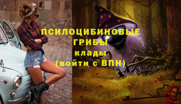 скорость Арсеньев
